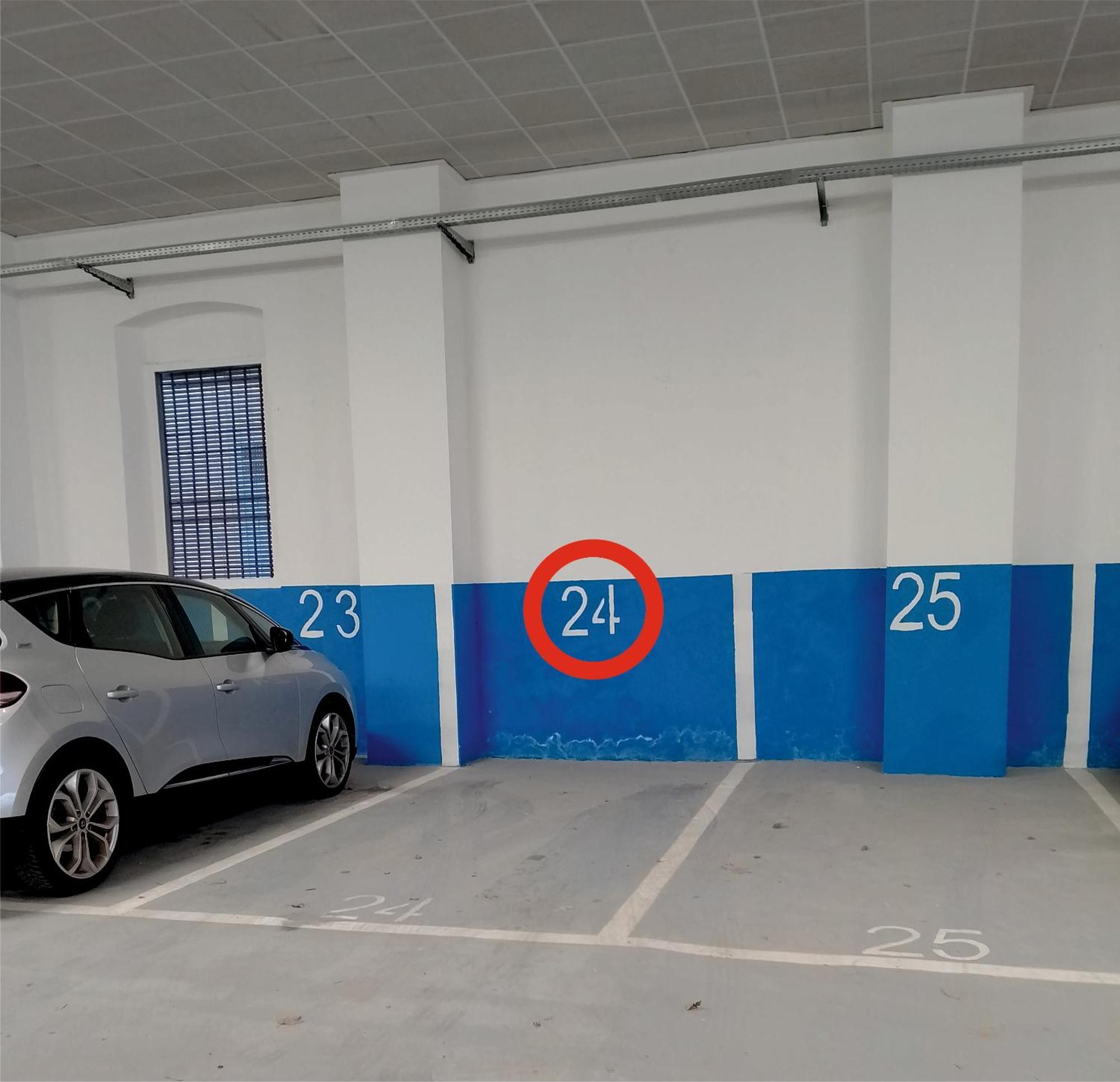 Apartamento Il Piccolo Eden - Private Garden Livorno Exterior foto